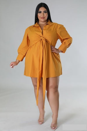 083122 The Apricot Multi Tie Detail Collar Dress
