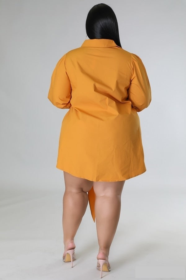 083122 The Apricot Multi Tie Detail Collar Dress