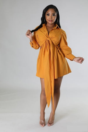 083122 The Apricot Multi Tie Detail Collar Dress