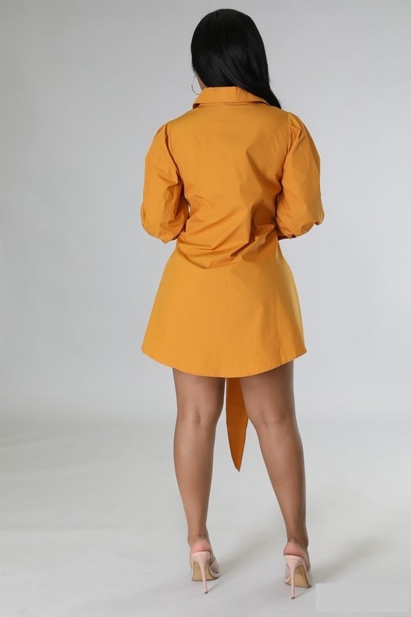 083122 The Apricot Multi Tie Detail Collar Dress