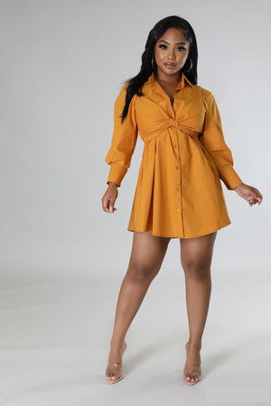 083122 The Apricot Multi Tie Detail Collar Dress