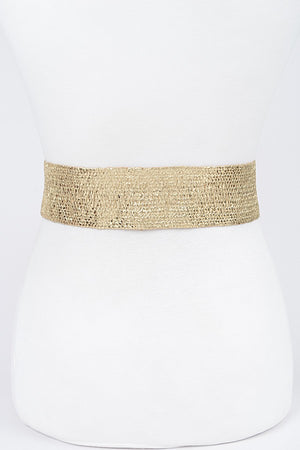090925 Gold Wide Metal Buckle Plus Size Clear Belt