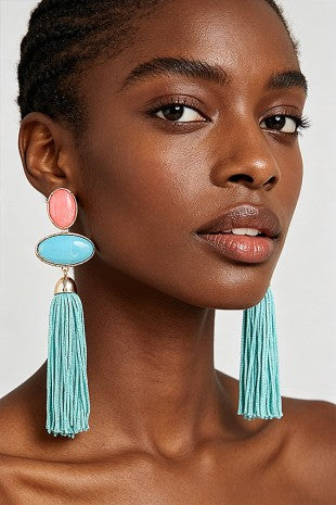 042926 Modern Stone Tassel Drop Earrings