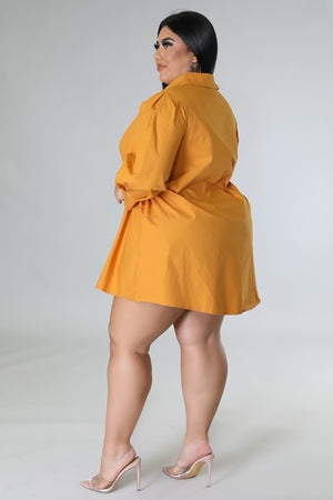 083122 The Apricot Multi Tie Detail Collar Dress